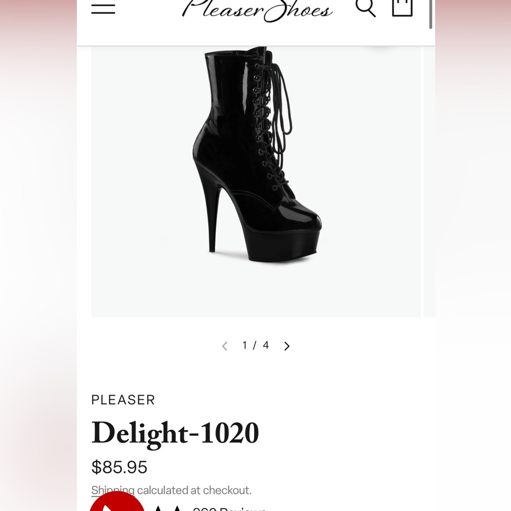 NWB Pleaser Delight 1020 heels